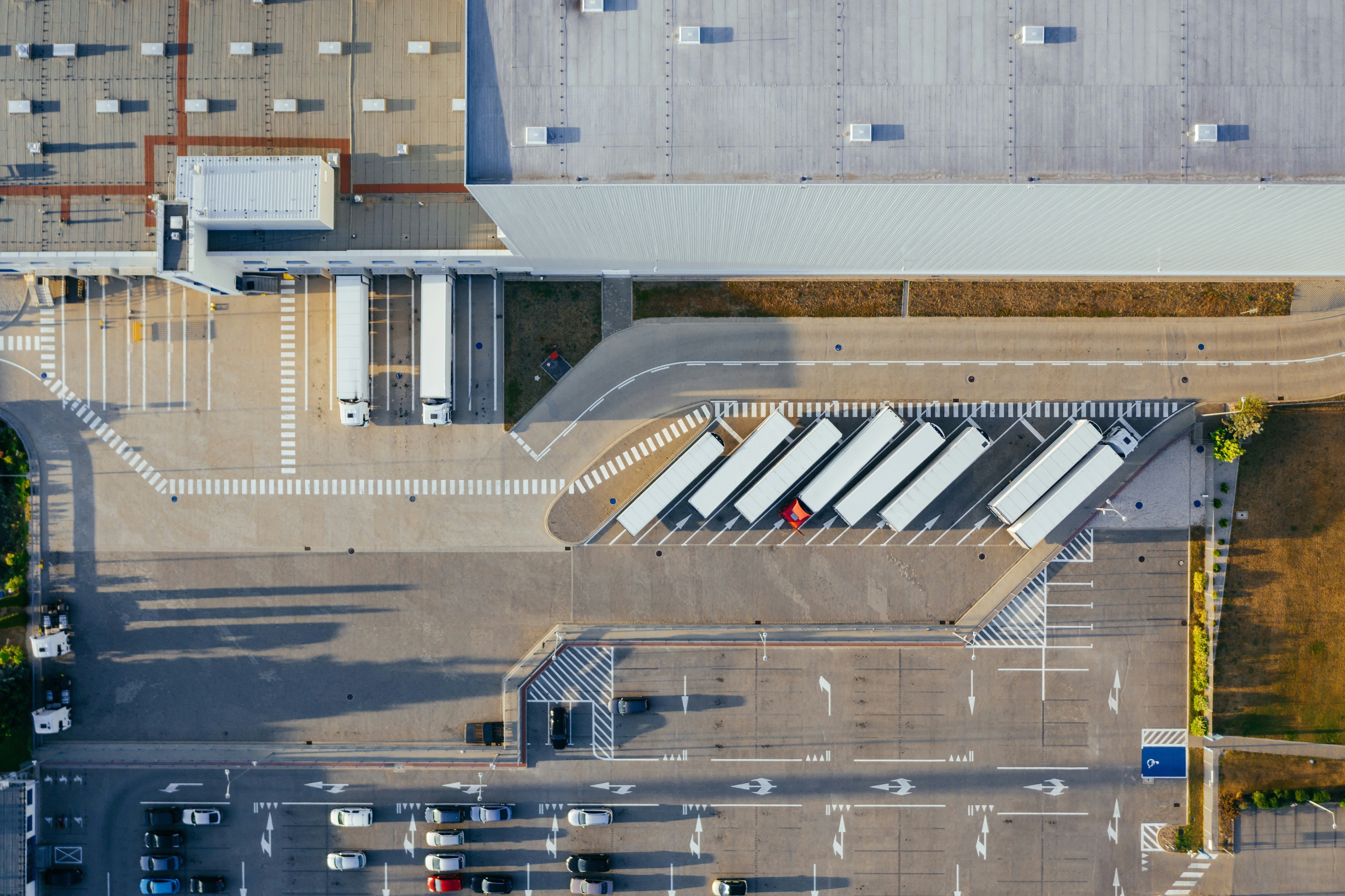 ERP pour grossistes et distributeurs en Algérie : gérer achats, ventes et stock en un seul outil
